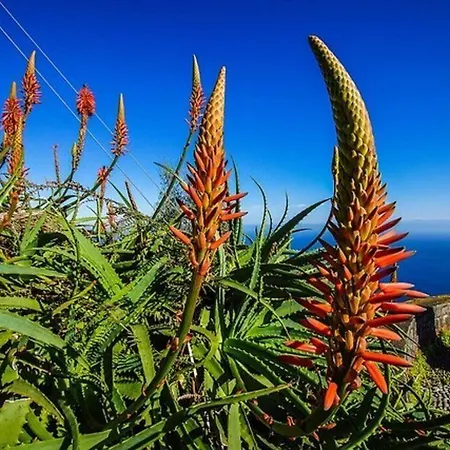 Daire With Ocean View And Parking