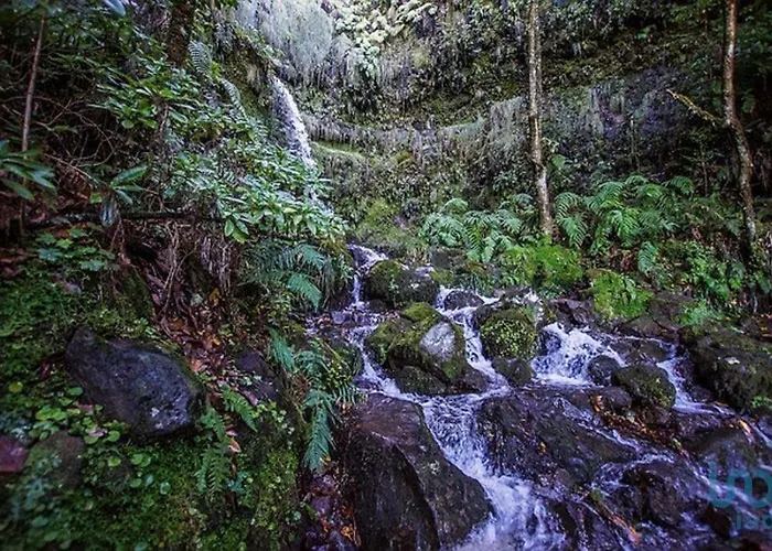 With Ocean View And Parking * Funchal (Madeira)