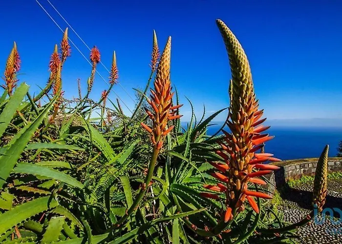 Appartement With Ocean View And Parking