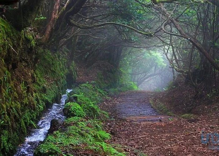 With Ocean View And Parking