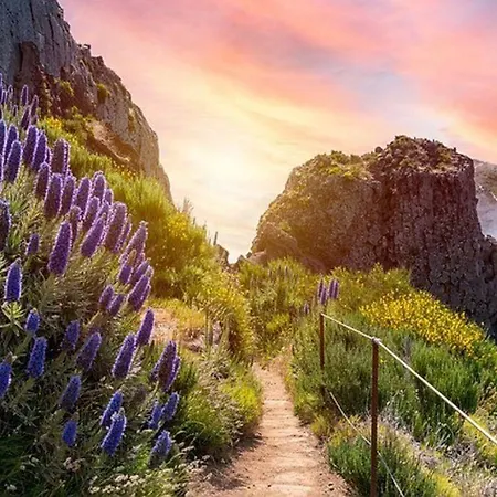 Apartament With Ocean View And Parking *