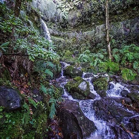 With Ocean View And Parking * Funchal (Madeira)